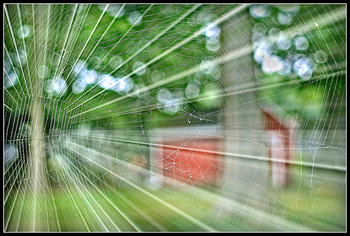 The Last Day Of Summer (by Alain Menguy)