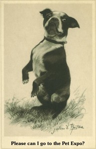 Picture from the Montgomery County Historical Society